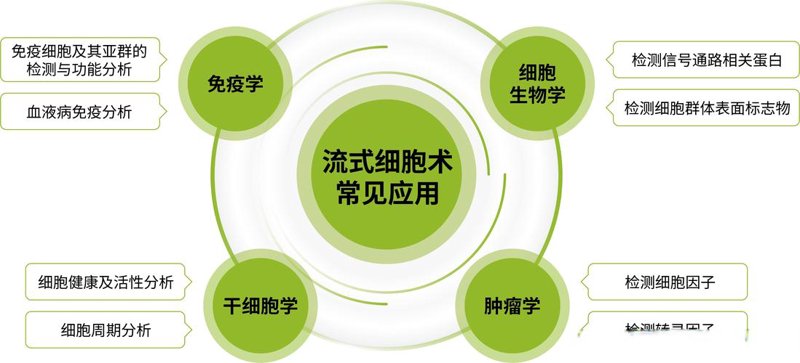 基因检测：揭示生命密码的新纪元