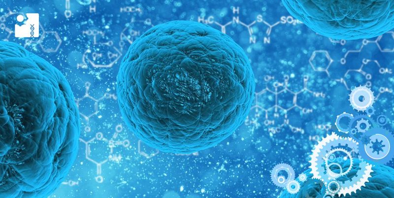 探索未来医学的新兴力量：生命科技行业动态